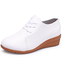 Белые четыре сезона