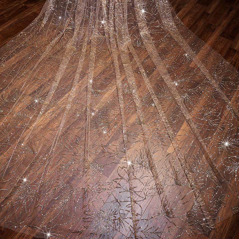 the voice of the same starry veil, champagne, gold and white spray the new bridal bridal veil bride.
