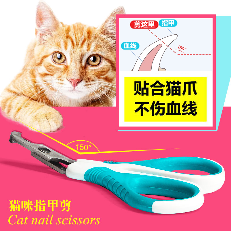 Cat Fingernail Cut Kitty Elbow Nail Clippers Pet Nail Clippers Clean Beauty Tools Do N't Hurt Blood Line Cat Supplies