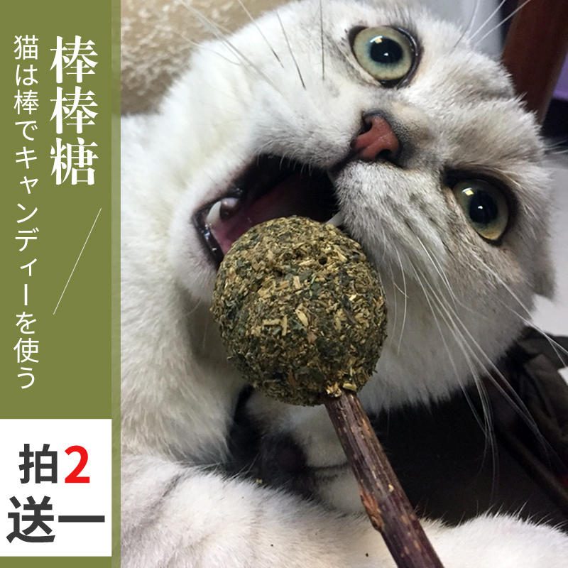 Cat Mint Lollipod Kitty Toys Tell Cat Baby Kitty Teeth Mint Cowboy Snacks