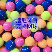 Pet tennis dog bóng cắn cắn tennis tennis tennis tennis bóng nảy vợt tennis yonex 2020