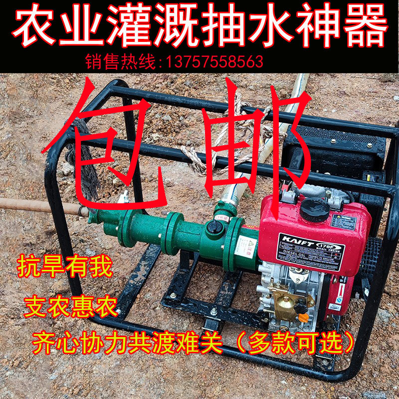 1inch High-Pressure High-Lift Water Pump 2inch Large Flow High-Power Diesel Gasoline Screw Pump Mountain Irrigation Pump Drought-Resistant