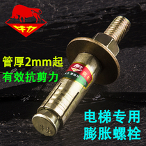 Manufacturer Direct Sales National Standard Expansion Bolt Elevator Wall Tiger Cargo Ladder Special High Performance Expansion Screw m12 m16