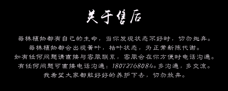 商品详情图