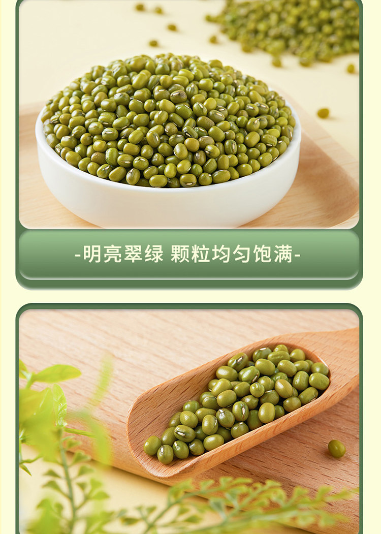 Premium Northeast Mung Beans New Crop Whole Dried Green Beans Easy to Cook Summer Cooling Grain 1000g key features