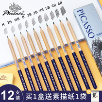 Phoenix painting material sketch pencil set 2B2H-8B painting charcoal pen professional drawing tool beginner student art sketch professional drawing painting supplies rough rod soft and hard charcoal