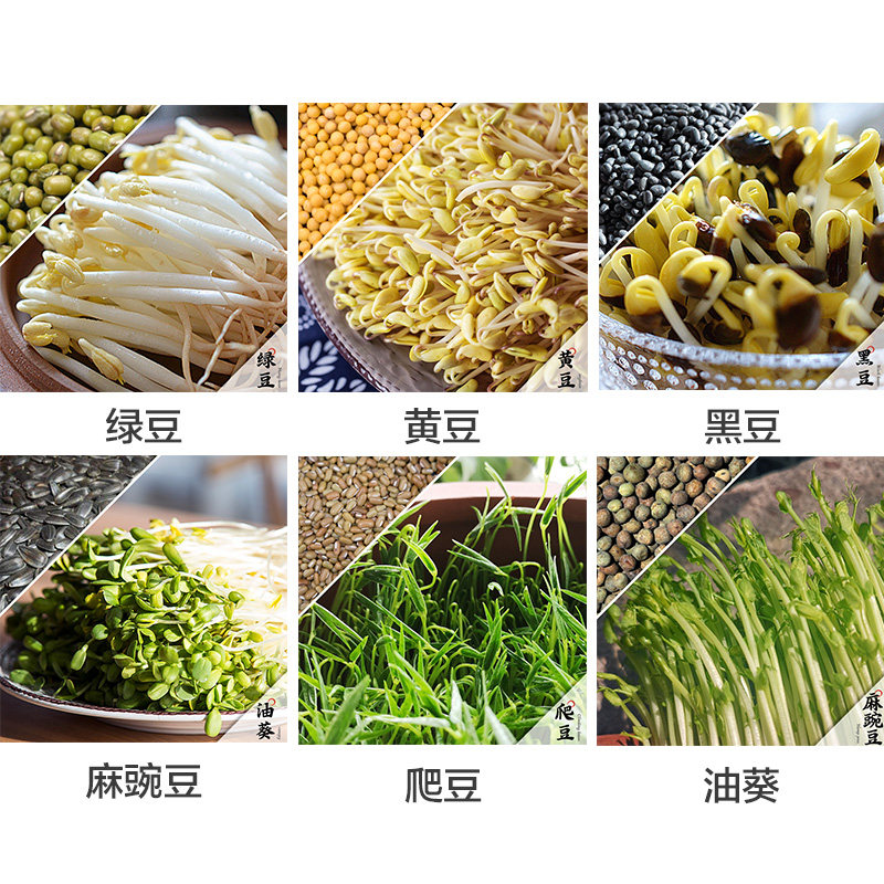 A dream field bean seed test for a large gift package