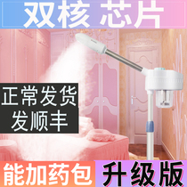 Thermal spray machine Spa beauty instrument Beauty salon special hydration thermal spray steam face instrument Steam machine Herbal sprayer