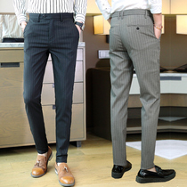 2021 autumn new mens suit trousers mens trend Joker straight thin casual pants Youth striped trousers