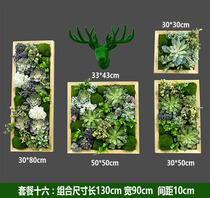 Simulation succulent plant wall wall hanging plant ins decoration Nordic green plant head wall decoration living room background wall