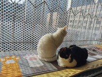 Childrens balcony isolation anti-falling anti-window net plastic grid anti-cat net chicken foot mat net breeding net beekeeping net