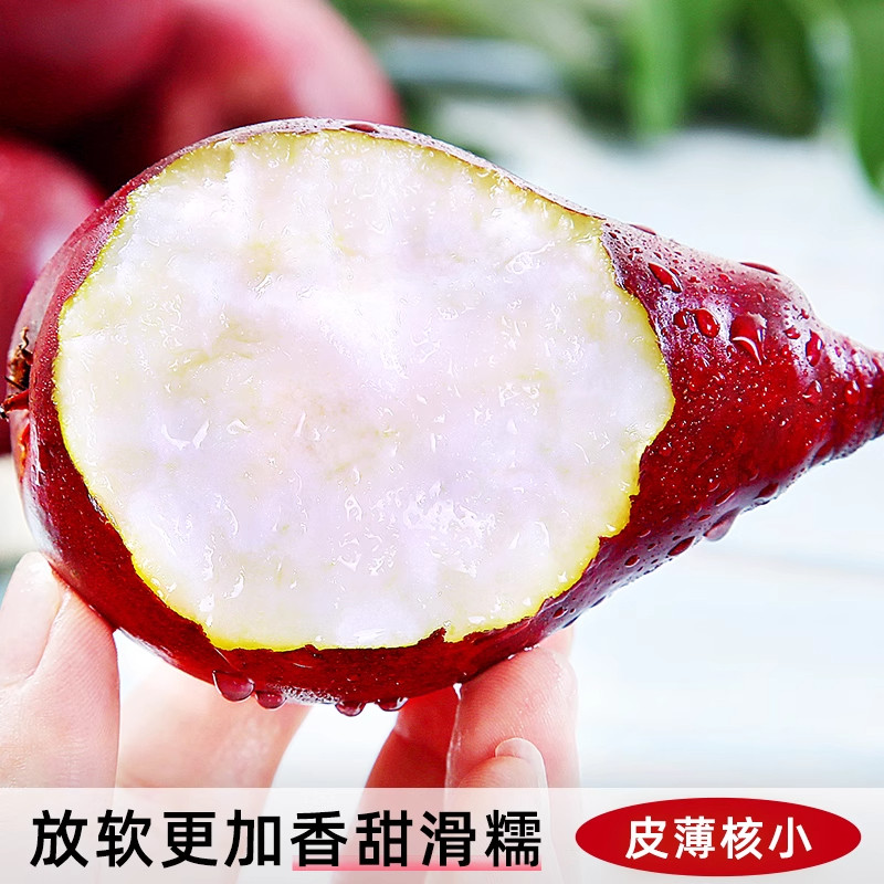 25年必买红啤梨当季新鲜!红皮梨子彩虹香软糯梨太婆红宝石酥甜梨整箱-好物推荐-淘宝好物网