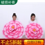 Пион цветок зонтик танцевальной сцены