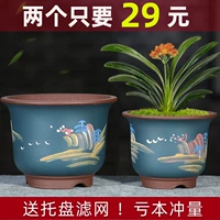 Zisha Pot Gentleman Orchid Basin Basin -Air -Breathable Family Hair Rich Tree, сочный зеленый укроп, бамбуковая комната в помещении 菖 蒲 Специальное очистка таза