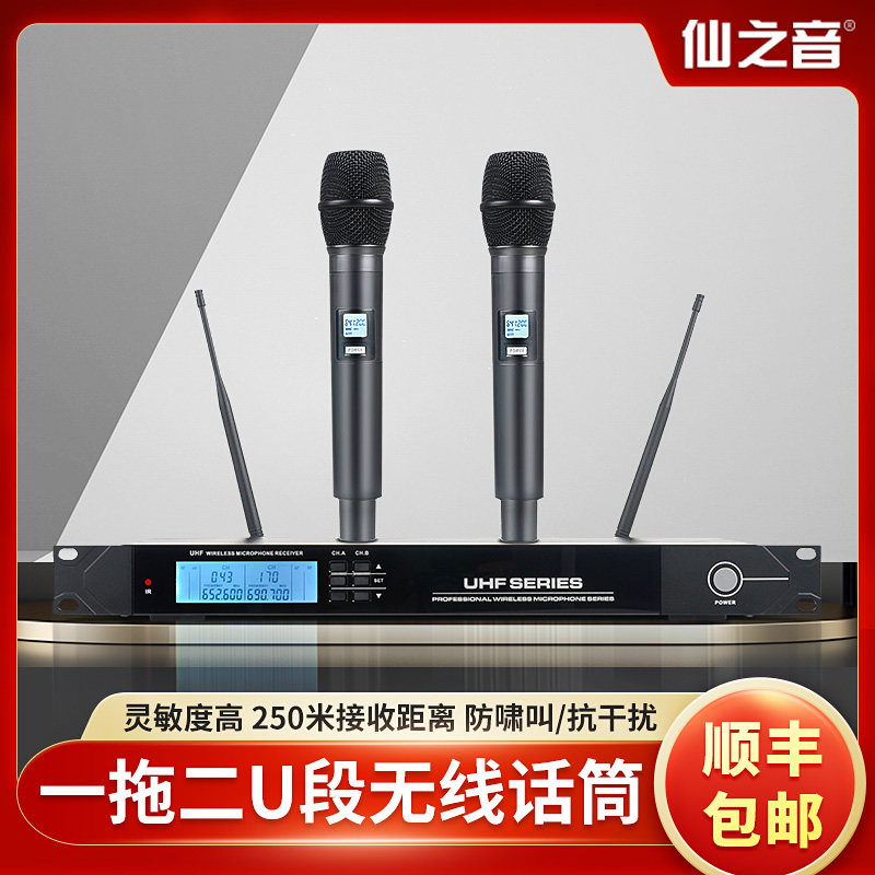 Professional family KTV box home wireless microphone one for two outdoor microphone handheld karaoke lavalier headwear