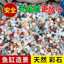 Natural Rain Flower Stone Fish Tank bottom sand aquarium landscape small stone decoration colorful stone five flower stone turtle tank grass tank