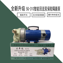 12V 48V electric medicine pump High pressure pump Agricultural garden 5 cylinder diaphragm pump
