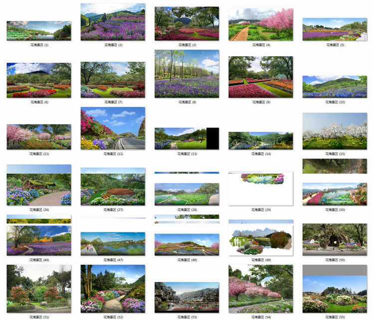 T1151花海梯田乡村旅游景区农业观光花卉植物实景效果图psd...-2