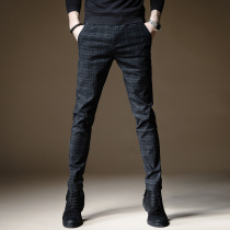 Autumn new pants mens business Plaid casual pants mens elastic pants mens Korean slim small feet trousers tide