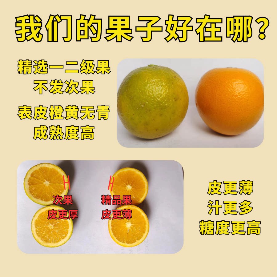 哀牢山冰糖橙：冬日里的甜蜜宝藏-橙-淘宝百科网