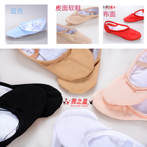 Dancing Star Ballet Shoes Chinese Ballet Two-soled Cat Claw Shoes Soft-soled Shoes Gymnastics Shoes Yoga Shoes Beiwu Teacher