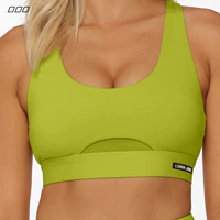 Зеленый шалфей