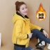 Mùa thu đông 2019 phiên bản Hàn Quốc mới của áo khoác len dày áo khoác nữ dài tay có mũ trùm đầu bằng cotton ngắn - Áo khoác ngắn áo phao lông vũ nữ Áo khoác ngắn