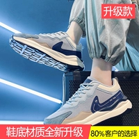 Серый синий 【обновление】