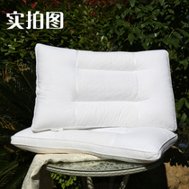 Cassia Pillow Pillow Adult Comfort Pillow Adult Pillow Single Student Double Pillow Pair 2