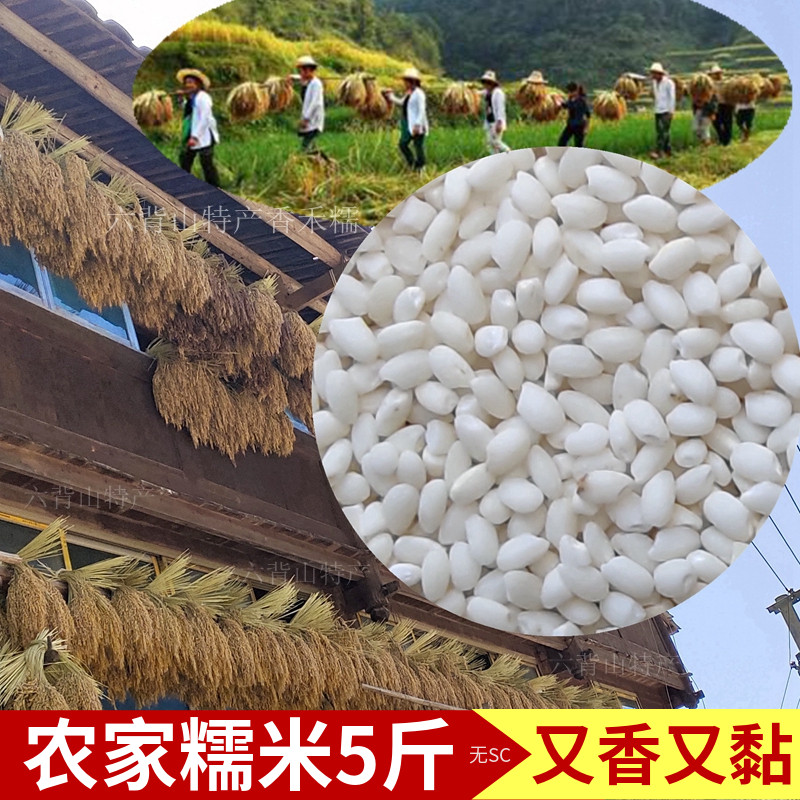 Farmhouse Glutinous Rice 2021 Liping Specialty Farmers Grow Glutinous Grain Grain Hexiang Rice Fragrant Glutinous Rice Farmers White Rice 5 Catties