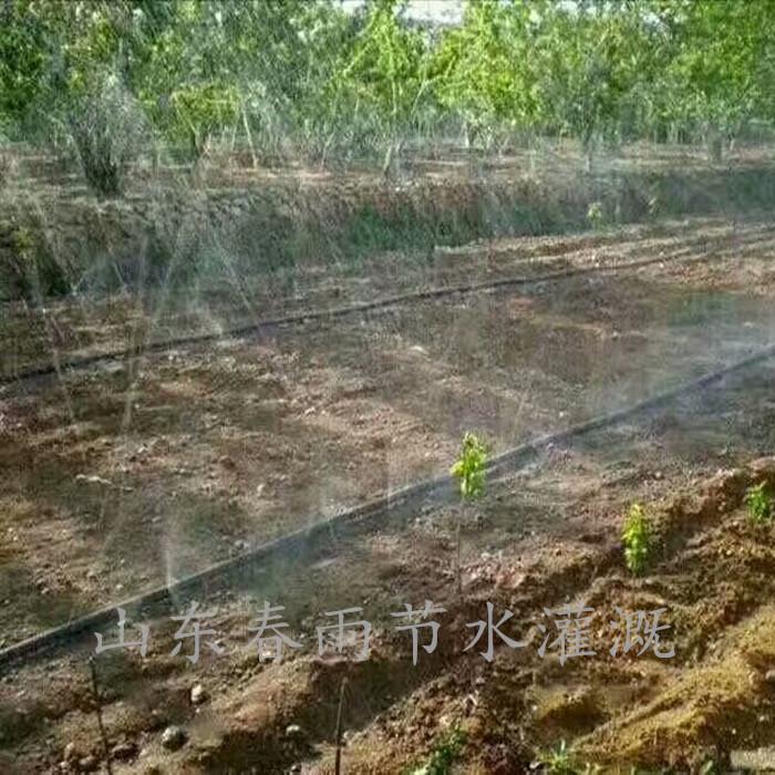 Micro-Spray Hose with Water Spray Nozzle, Porous Orchard Greenhouse Lawn Vegetable Agricultural Spray Hose, Atomizing Spray Hose, Sprinkler Hose
