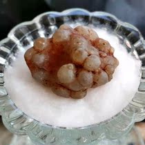  Shakyamuni Buddhas blood X-membrane has proliferated and is rare There is only one relic Gawu offering