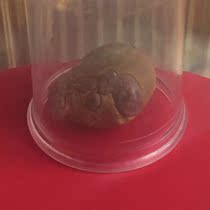  Shakyamuni Buddha brain top wheel solid son rare 34mm large piece Tibetan Gawu Stupa marriage product