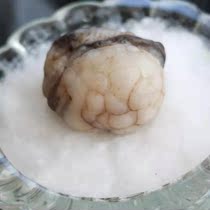  Shakyamuni Buddhas First strong Son Rare special Tibetan Stupa Gawu