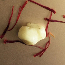  Shakamuni Buddha original Ya sturdy can be used to hold Tibetan stupas and tie up gold 699 yuan