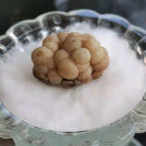  Shakyamuni Buddhas original strong head has proliferated Special offer to give back to the knot Gawu Stupa Knot product