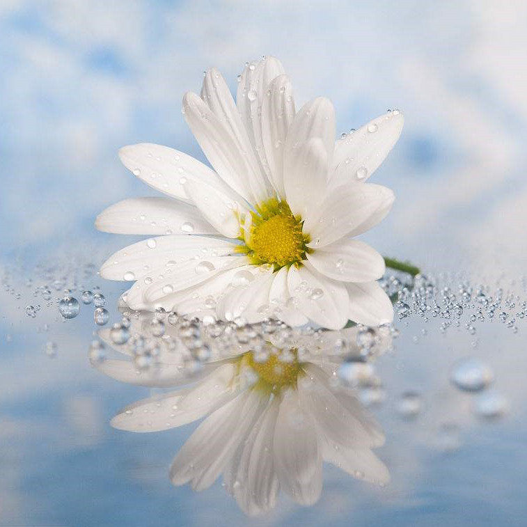 Abnormal order, make up for foreign orders, please take this hyperlink