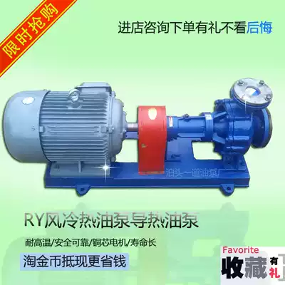RY-40-25-160 heat transfer oil pump air-cooled high temperature electric centrifugal transfer pump boiler circulating drying pump head