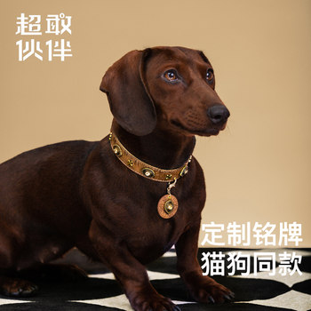 [Super Brave Companion] Star Mark Brown Crocodile Pet Collar Design, Suitable for Small to Medium-Sized Dogs and Cats, Can Be Used for Leash Training