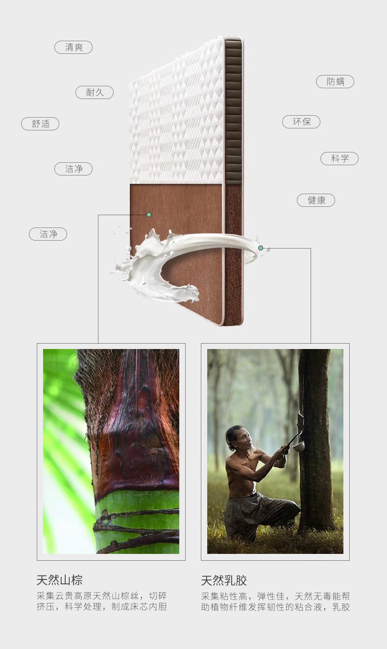 Nature nâu nệm giấc mơ Wyatt mat6 toàn bộ cọ núi nệm mat cứng 1.8m1.5 mét con đẻ có thể được tùy chỉnh - Nệm nệm kymdan khuyến mãi