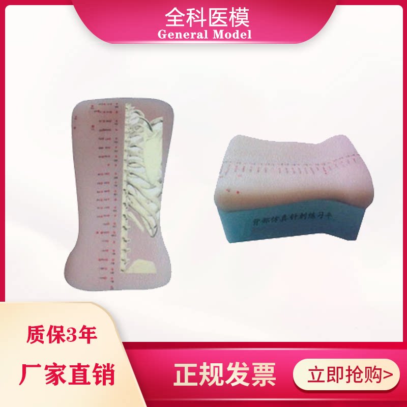 背部仿真针刺练习平台模型