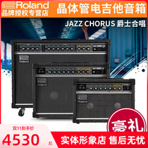 Roland Electric Guitar Speakers Jazz Chorus JC-22 JC-40 JC-120G Electric Audio