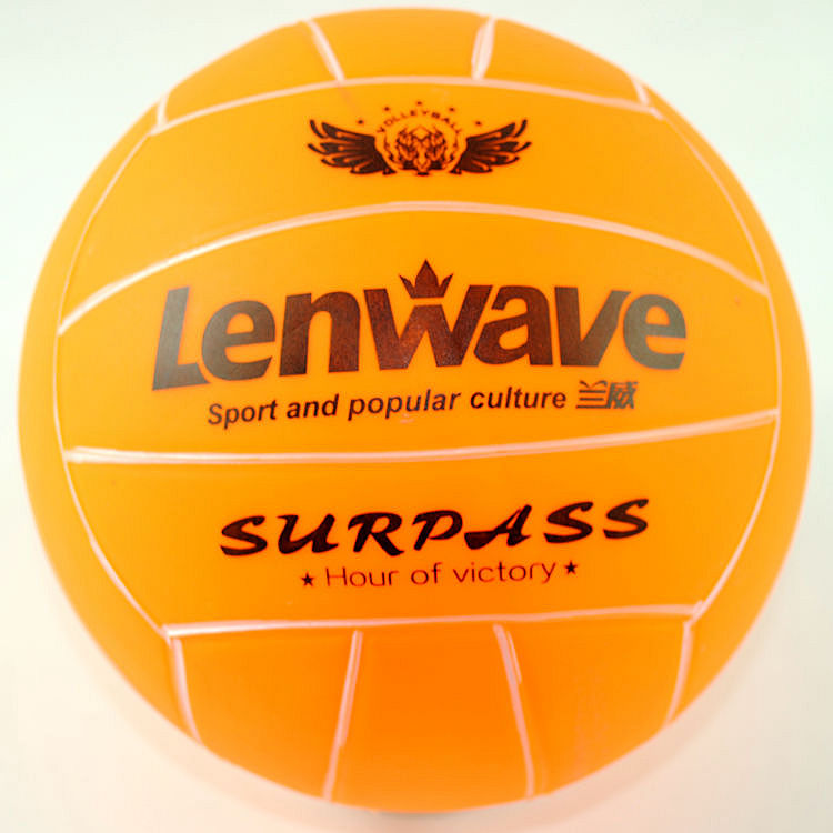 Ballon de volley - Ref 2008084 Image 12