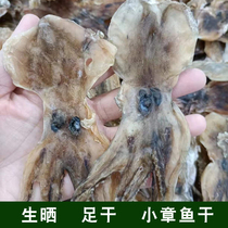 Raw dried octopus dried milk deep sea small octopus dried goods octopus dried octopus special grade maternal North Sea specialty confinement dried goods