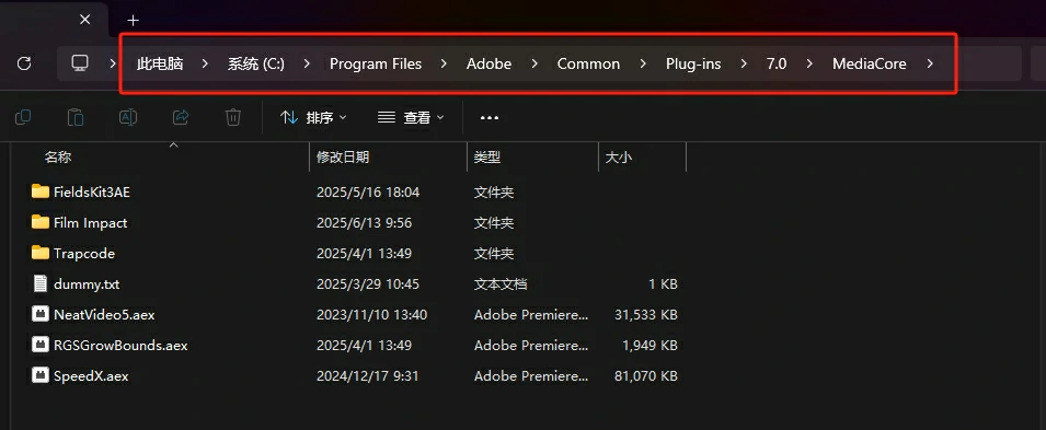 图片[6]-【AE插件】专业视频降噪插件Neat Video Pro中文汉化版-PoseAE