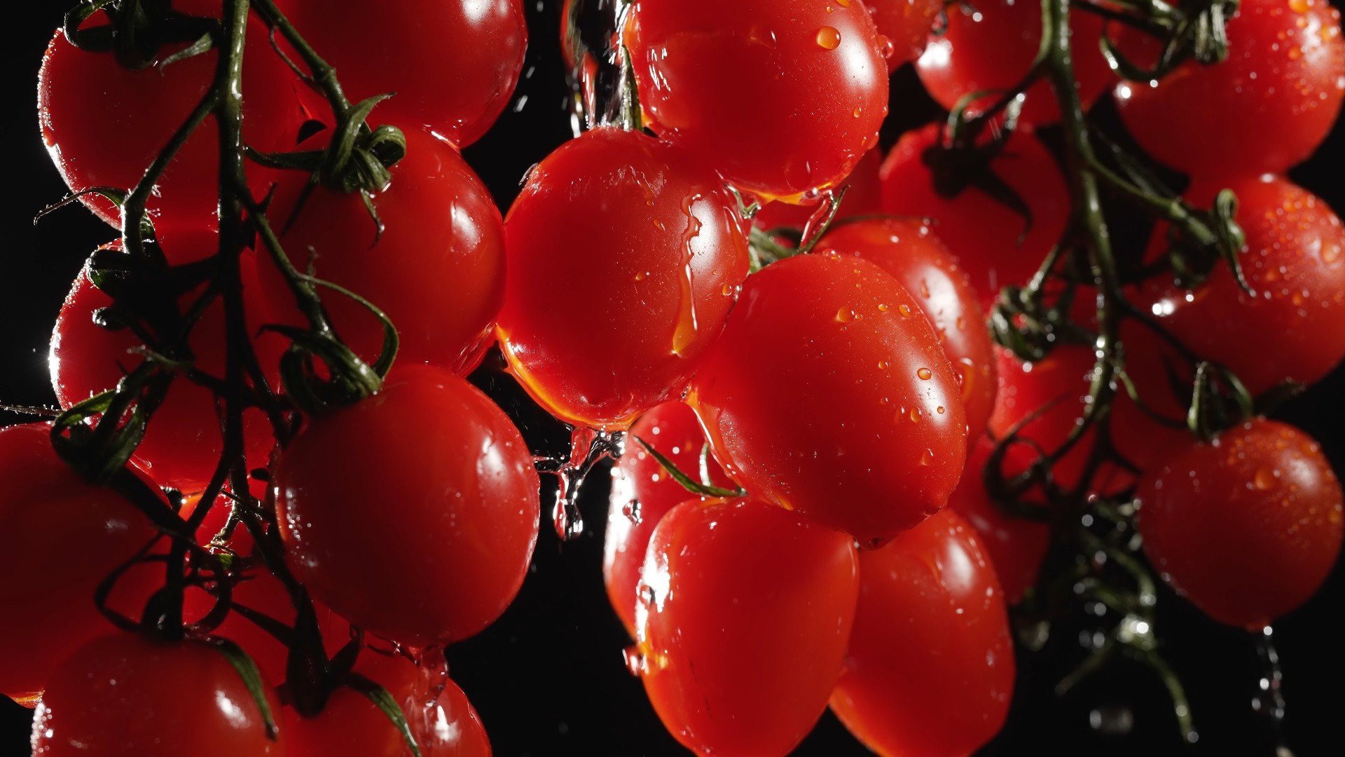 【实拍视频】水花飞溅的圣女果-PoseAe