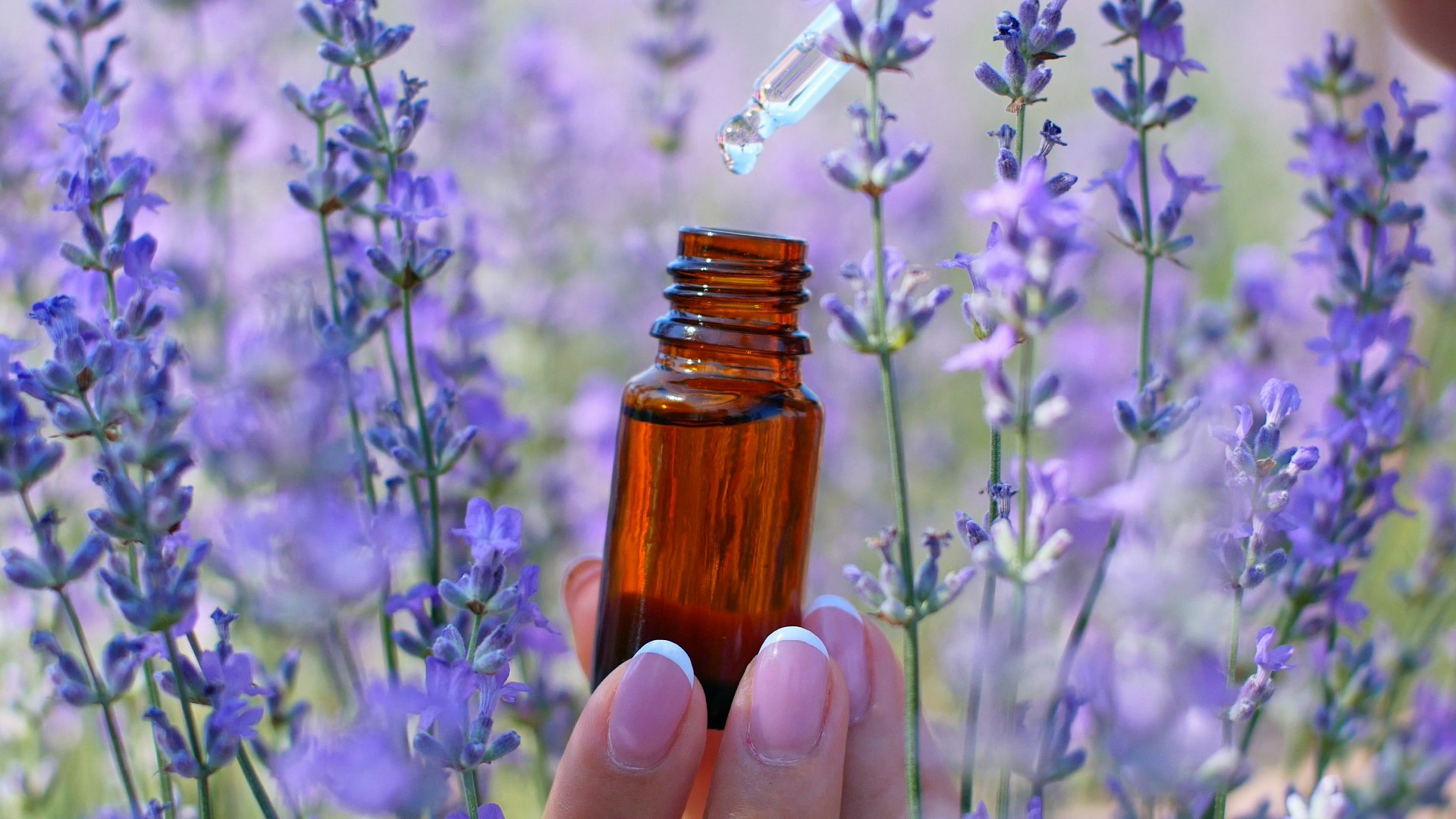 【实拍视频】薰衣草田中的精华油-PoseAe