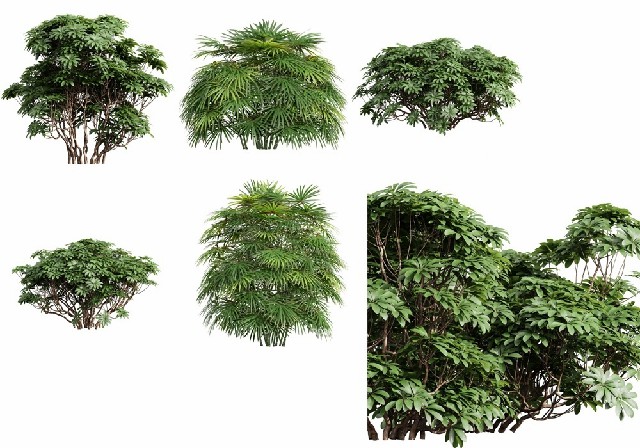 【3D模型】7种灌木丛3D模型-PoseAe