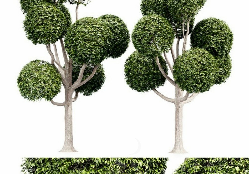 图片[1]-【3D模型】造型树与绿篱 3D 模型-PoseAe视频创意库