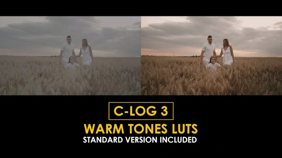 【调色Luts】电影级暖色调 C-Log3 视频调色 LUT-PoseAe
